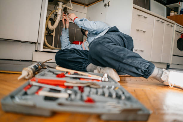 Best Plumbing Inspection Services  in Lanett, AL
