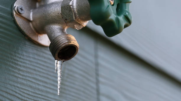 Best Plumbing Repair Near Me  in Lanett, AL