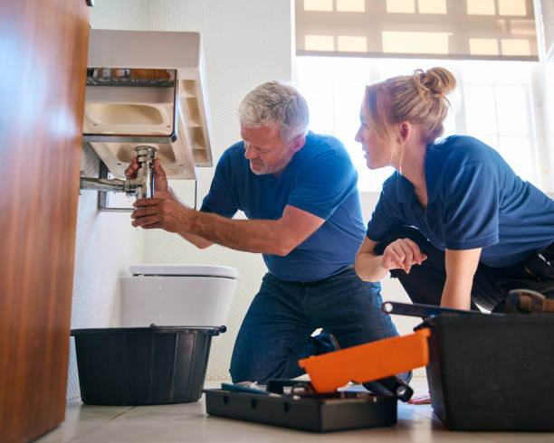 Best Sprinkler Systems  in Lanett, AL